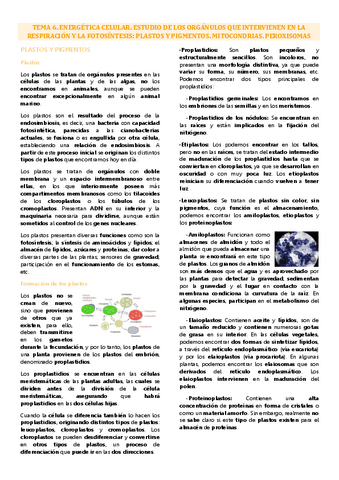 Tema 6 biología celular, energética celular.pdf
