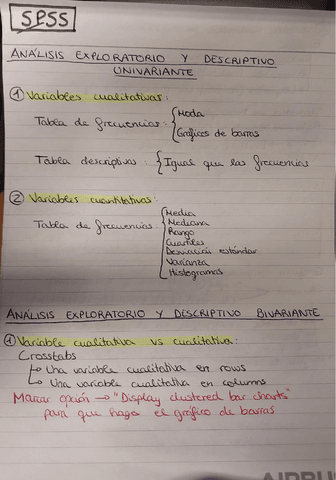 APUNTES-SPSS.pdf