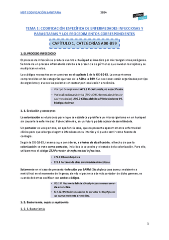 M07-Codificacion-Sanitaria-Tema-1.pdf