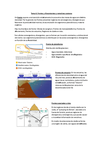 4.-Frentes-afloramientos-y-remolinos-costeros.pdf
