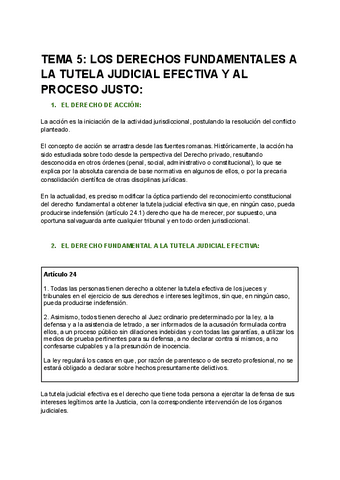 TEMA-5-SISTEMA-JUDICIAL-ESPANOL.pdf