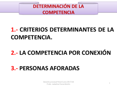TEMA 2 DETERMINACIÓN DE LA COMPETENCIA actual.pdf