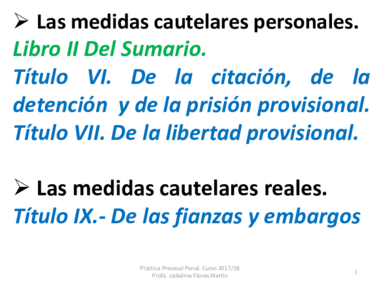 TEMA 9 MEDIDAS CAUTELARES.pdf