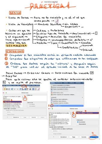 Manual-Practica-1.pdf