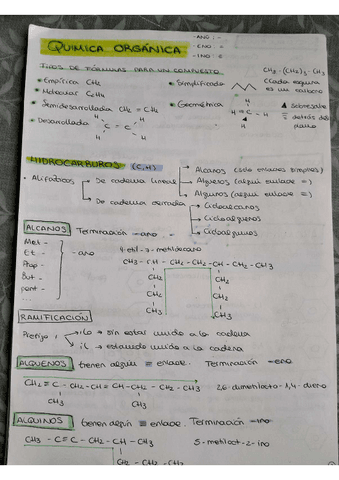 QUIMICA-ORGANICA.pdf