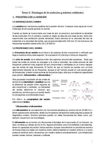 T2-Audicion.pdf