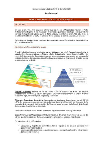 T.2-PROCESAL.pdf