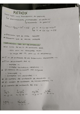 REDOX.pdf