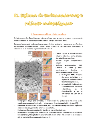 T7-Completo.pdf