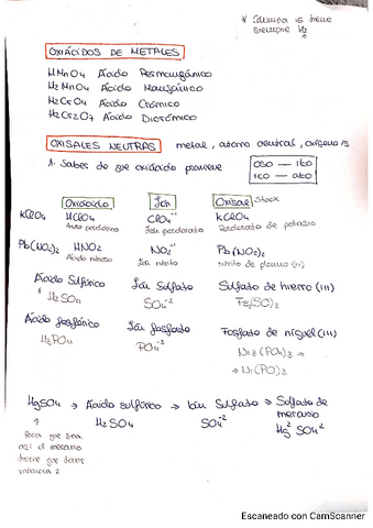 OXIACIDOS-DE-METALES.-OXISALES-NEUTRAS.pdf
