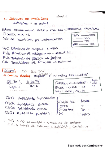 HIDRUROS-NO-METALICOS.-OXIDOS-ACIDOS.pdf