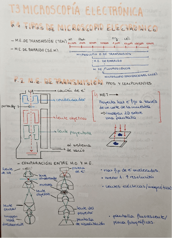 T3 Microscopía Electrónica Pdf