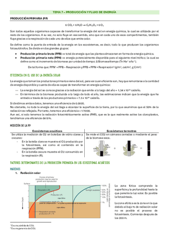 T7.-Produccion-y-flujo-de-energia.pdf