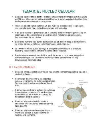 Tema8-nucleo-celular.pdf