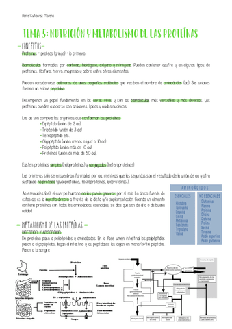 TEMA-5-NUTRICION.pdf