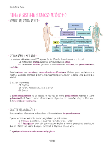TEMA-8-FISIOLOGIA.pdf