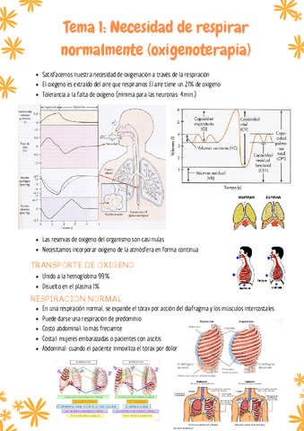 Cuidados-Venancio.pdf