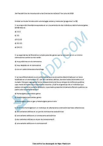 3er-Parcial-IBES-E-IBCM-1.pdf