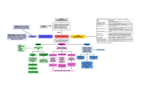 LURIA-MODELOS-NEUROSICOLOGICOS.pdf