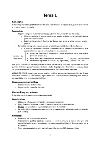 apuntes-penal-1.pdf
