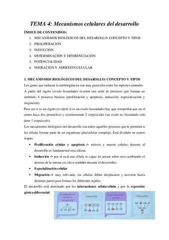 Tema-4-5-embriologia-Prof.-Begona-Villar.pdf