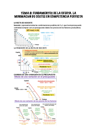 TEMA-8-La-minimizacion-de-costes.pdf