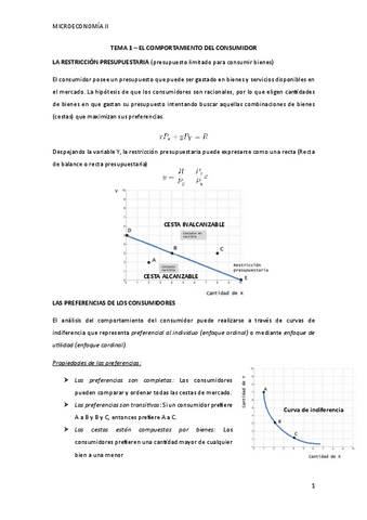 RESUMEN-TEMA-1-EL-COMPORTAMIENTO-DEL-CONSUMIDOR.pdf