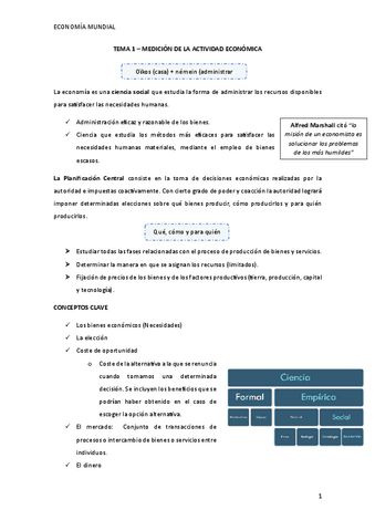 RESUMEN-TEMA-1-MEDICION-ACTIVIDAD-ECONOMICA.pdf