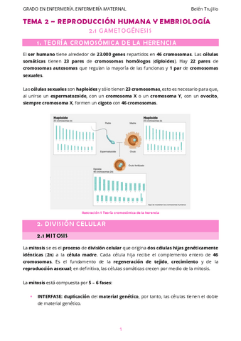 MATERNO-Tema2-ReproduccionHumanaEmbriologia-1Gametogenesis.pdf