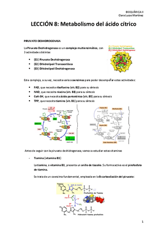 LECCION-8.-Metabolismo-del-acido-citrico.pdf