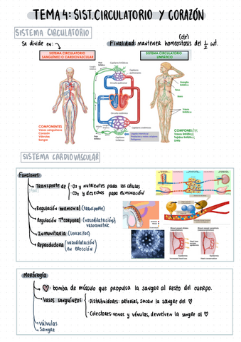 Tema Fisiologia Pdf