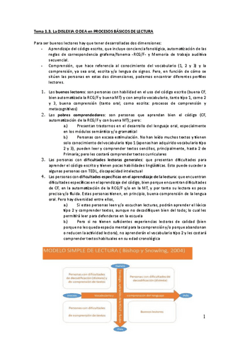 Tema-1.3-DEA-en-LECTURA-resumen.pdf