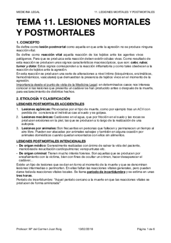 LEGAL T11.pdf