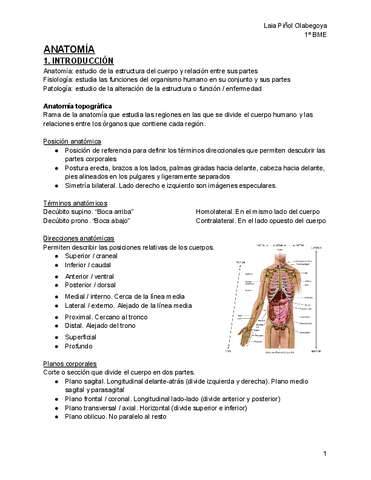 ANATOMIA-1r-cuatri.pdf
