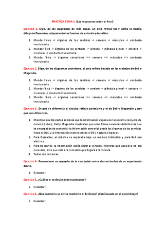 PRACTICA-1.-Completa-y-corregida.pdf