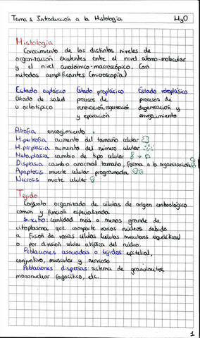Tema2.Tejido-Epitelial.pdf
