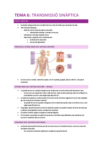 FISIOLOGIA-HUMANA-tema-6.pdf