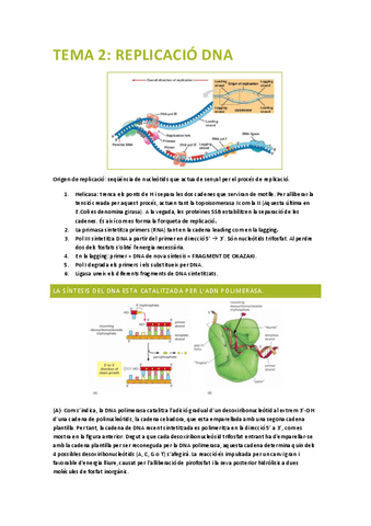 PRINCIPIS-BIOLOGIA-MOLECULAR-tema-2.pdf