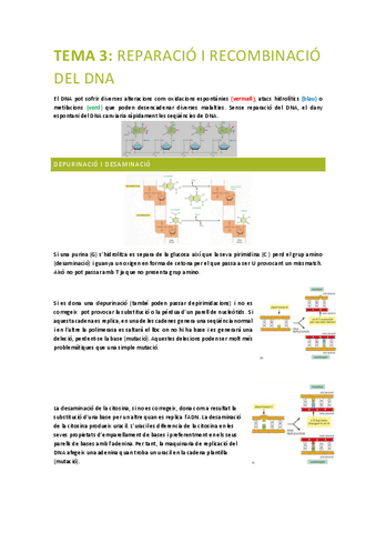 PRINCIPIS-BIOLOGIA-MOLECULAR-tema-3.pdf
