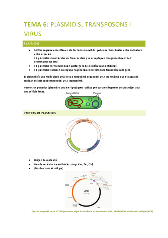 PRINCIPIS-BIOLOGIA-MOLECULAR-tema-6.pdf