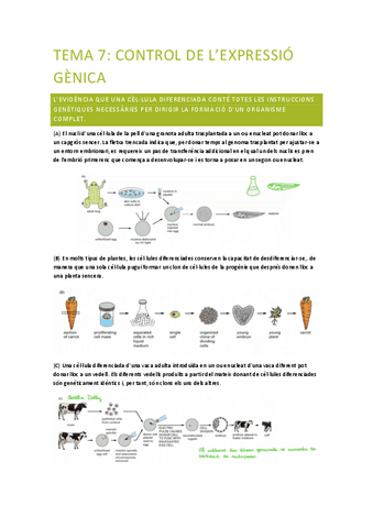 PRINCIPIS-BIOLOGIA-MOLECULAR-tema-7.pdf