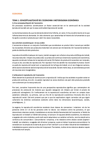 ECONOMIA.pdf