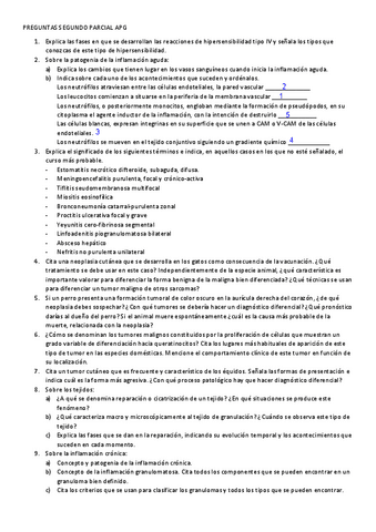 PREGUNTAS-SEGUNDO-PARCIAL-APG.pdf