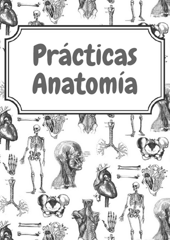 Practicas-anatomia-1-6.pdf