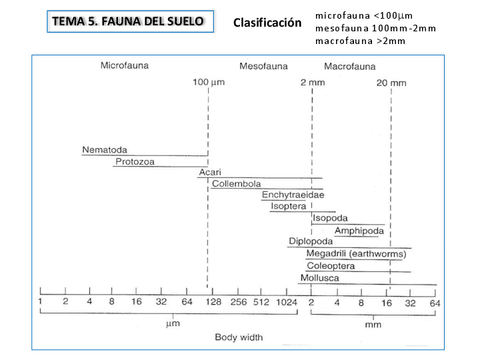 Tema-5.-Fauna-del-Suelo.pdf