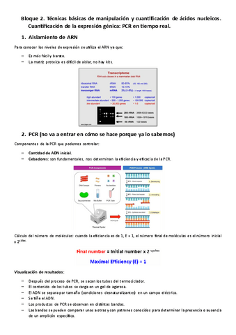 Bloque-2.-Manipulacion-y-cuantificacion-de-acidos-nucleicos.pdf