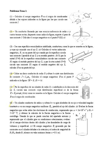Ejs-T2-Campo-Magnetico.pdf