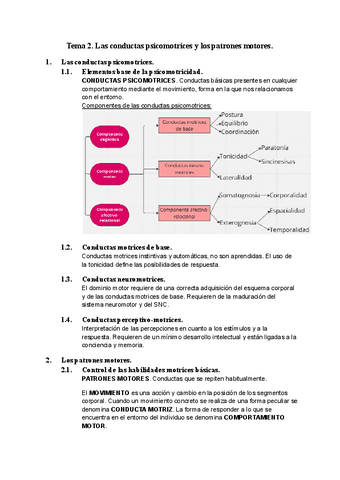 Resumen-Tema-2.pdf