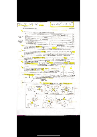 Boletin-12-bioinorganica.pdf