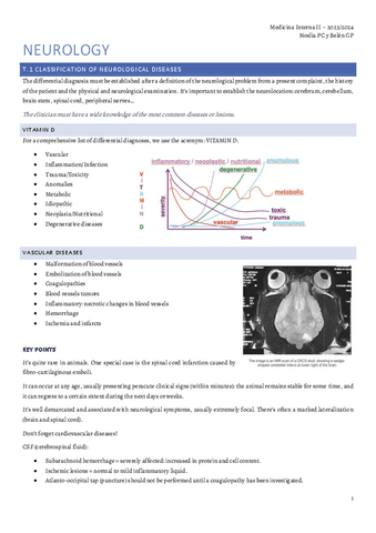 NEUROLOGY-MI-II.pdf